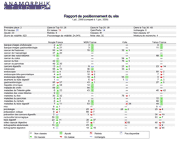 rapport de référencement