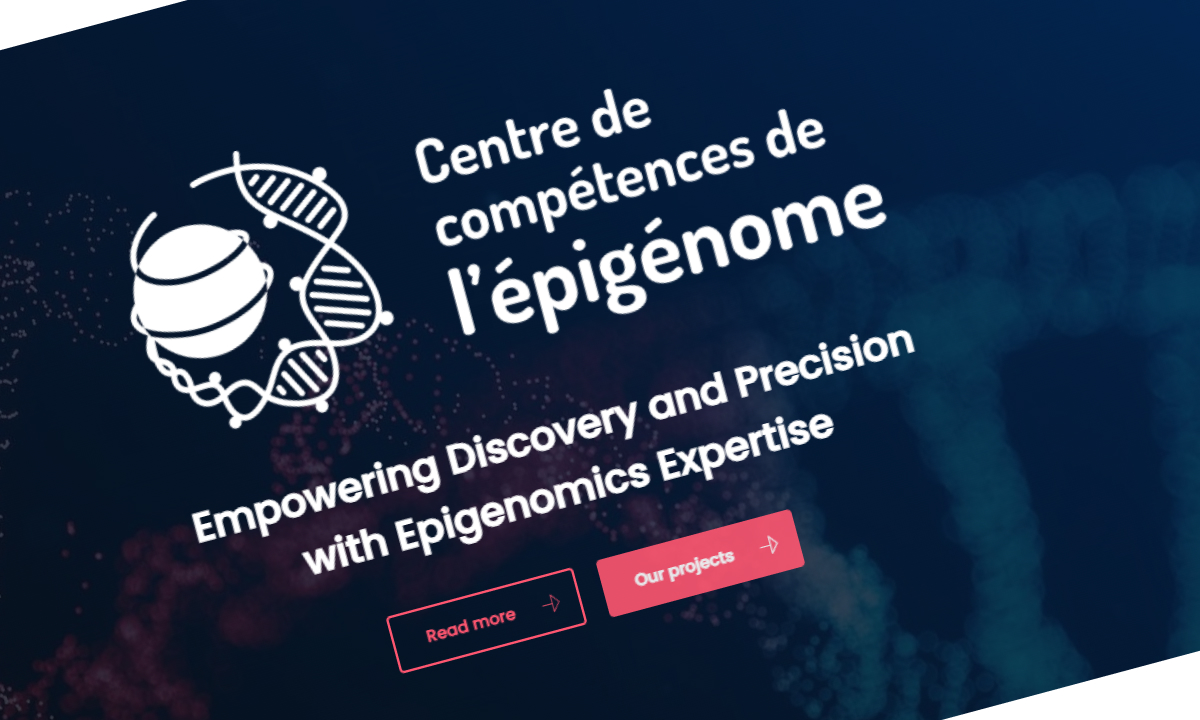 Capture d'écran du site Epigenome Center