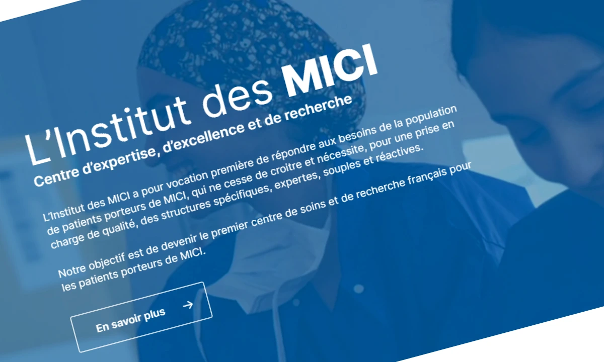 Capture d'écran du site de l'Institut des MICI