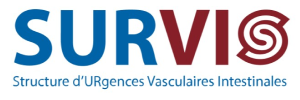 logo Survi logo Survi