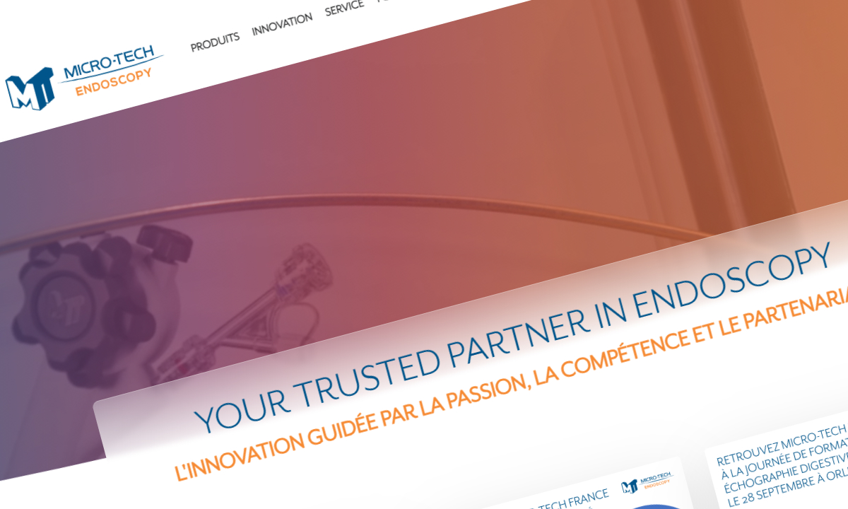 Capture d'écran du site de Micro-Tech France